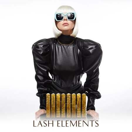 Онлайн-курс Lash Elements Тариф «Korben»